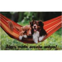 Влаговпитывающий коврик VORTEX Samba Собаки в гамаке 50x80 см 24217