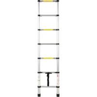 Телескопическая лестница WORKY 2 м, 7 ступеней ARD128085