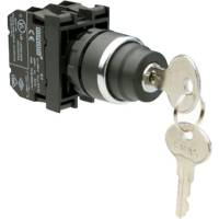 Кнопка с ключом Emas 0-1, с фиксацией, 250 В AC, 4 А B102AC20