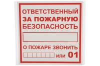 Плакат Ответственный за пожарную безопасность TDM 200х200мм SQ0817-0069