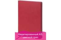 Недатированный ежедневник GALANT Bastian А5, кожзам, 160л, цветной срез, бордовый, 126270
