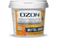 Концентрат грунтовки для пористых оснований OZON MITTEL GRUND ВД-АК 017 0.9л/1кг ВД-АК-017-1