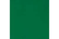 Самоклеящаяся плёнка FARBE (глянец зеленая; 0.45x2 м) 7046В