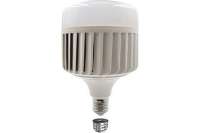 Светодиодная лампа Ecola High Power LED Premium 150W 220V универс. E27/E40 лампа 4000K 280x180mm HPV150ELC