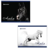 Альбом для рисования BRAUBERG А4, 40 листов, скоба, обложка картон, 200x283 мм, благородные кони 2 вида 103728