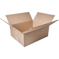 Картонная коробка PACK INNOVATION Гофрокороб 30.5x24.5x11 см, объем 8.5 л, 10 шт IP0GK302511-10
