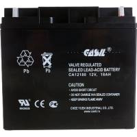 Аккумуляторная батарея CASIL CA12180 10601045