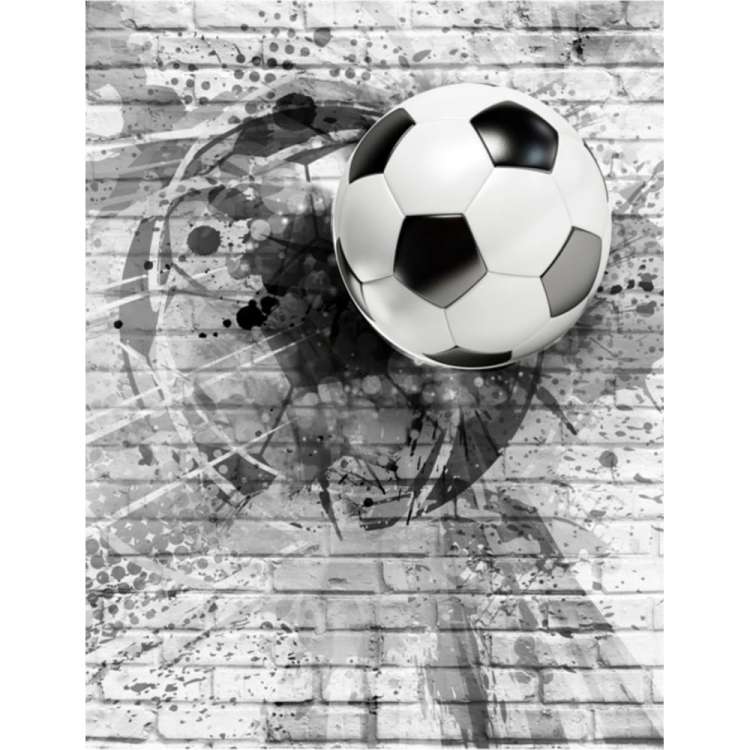 Фотообои Dekor Vinil Футбольный мяч на кирпичной стене 200х260 см 7657dv