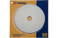 Алмазный гибкий шлифовальный круг Черепашка (100 мм; № 800) для сухой шлифовки TUNDRA 3594935