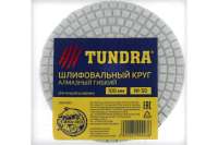 Алмазный гибкий шлифовальный круг Черепашка (100 мм; № 50) для мокрой шлифовки TUNDRA 3594923