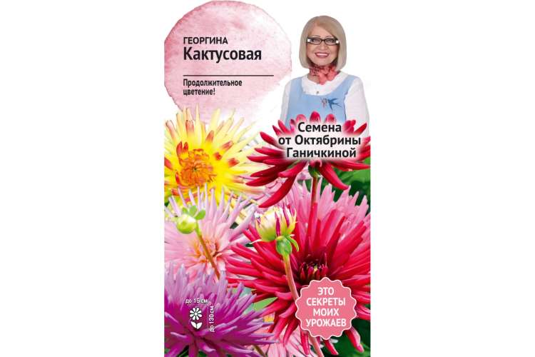 Семена ОКТЯБРИНА ГАНИЧКИНА Георгина Кактусовая 0.2 г 119325