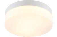 Потолочный светильник ARTE LAMP A6047PL-2WH