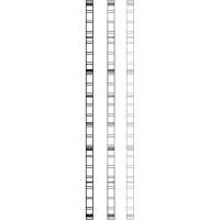 Вертикальная направляющая ESSE 1,5 м белая RG1500-03