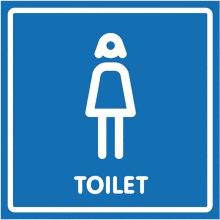 Наклейка Контур Лайн 130х130 Туалет женский 10FC0137