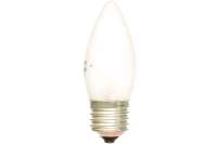 Электрическая лампа накаливания с матовой колбой MIC Camelion 40/B/FR/E27, 9865