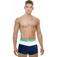 Мужские плавки-шорты для бассейна ATEMI TSAE1C, синий/бирюзовый, размер 48, 00-00008331