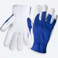 Кожаные перчатки Jeta Safety Locksmith белый/синий JLE321-9/L