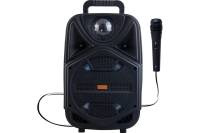 Колонка с Bluetooth Belsis Magic Acoustic Bravo, черный, TF, USB, FM, MIC BK1002