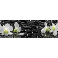 Кухонный фартук Декор Трейдинг Белые орхидеи 1012 2070*600*6мм МДФ панель