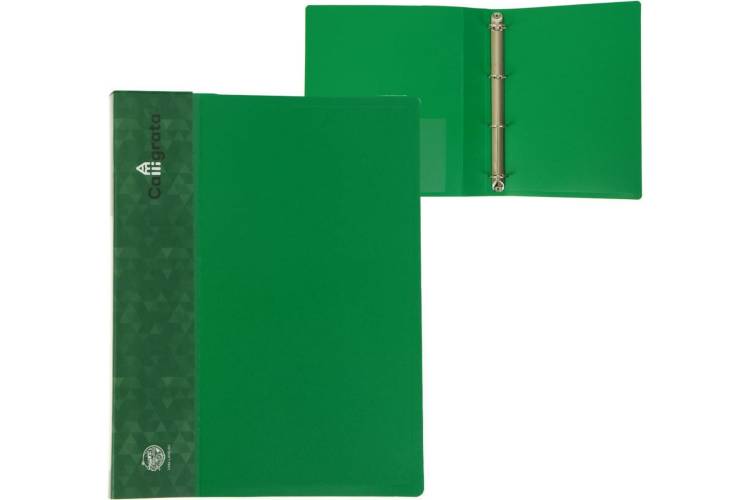Пластиковая папка на 4 кольцах Calligrata А4, 40 мм, 700 мкм, внутренний карман, карман на корешке, зеленая 6580752
