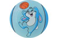 Баскетбольный мяч ONLITOP Заяц, размер 3, вес 280 гр 3597222