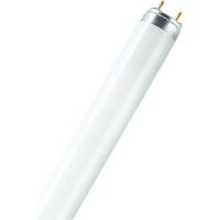 Линейная люминесцентная лампа Osram L 18W/840 25x1 FED 4058075693074