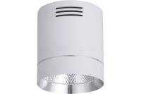 Светодиодный светильник FERON 10W, 900Lm, 35 гр, белый с хромированным кольцом, AL521 32467