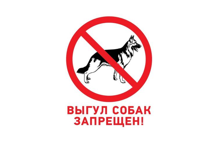 Табличка REXANT ПВХ-запрещающий знак, Выгул собак запрещен, 200х200мм 56-0039-2