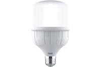 Высокомощная светодиодная лампа General Lighting Systems HPL-30W-E27-660005