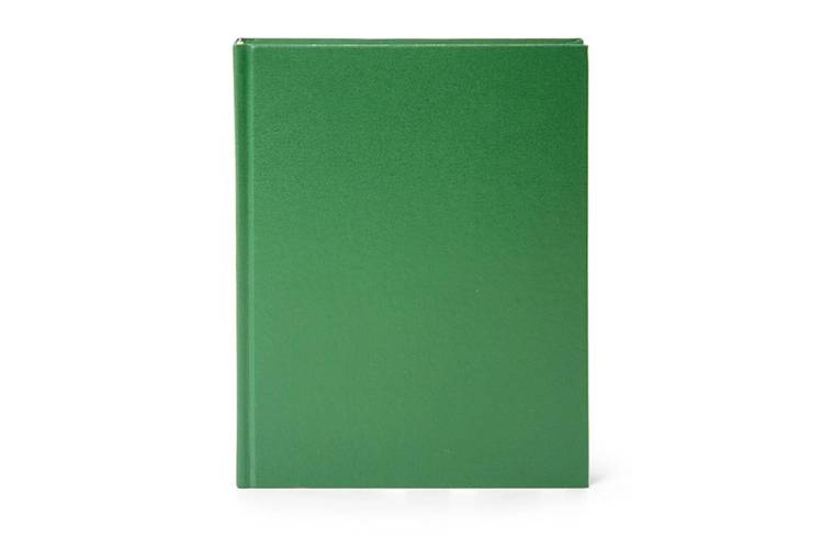 Недатированный ежедневник LITE А5 160 листов зеленый бумвинил DNBL-BUM5/Gr
