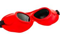 Защитные очки РОСОМЗ ЗН18 DRIVER RIKO 6 21832 закрытые, с непрямой вентиляцией