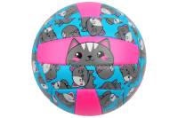 Волейбольный мяч ONLITOP Кошечка размер 2, 150 гр, 18 панелей, 2 подслоя, PVC, машинная сшивка 4166907