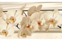 Кухонный фартук Декор Трейдинг Белые орхидеи 1000х600 мм Белыеорхидеи31771000х600 мм