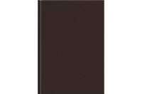 Недатированный ежедневник LAMARK Modern A5 коричневый, 352 страниц, карта России, календарь до 2023 г. упаковка 1 шт 01420-BN