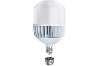 Светодиодная лампа Ecola High Power LED Premium 100W 220V универс. E27/E40 лампа 6000K 260x150mm HPD100ELC